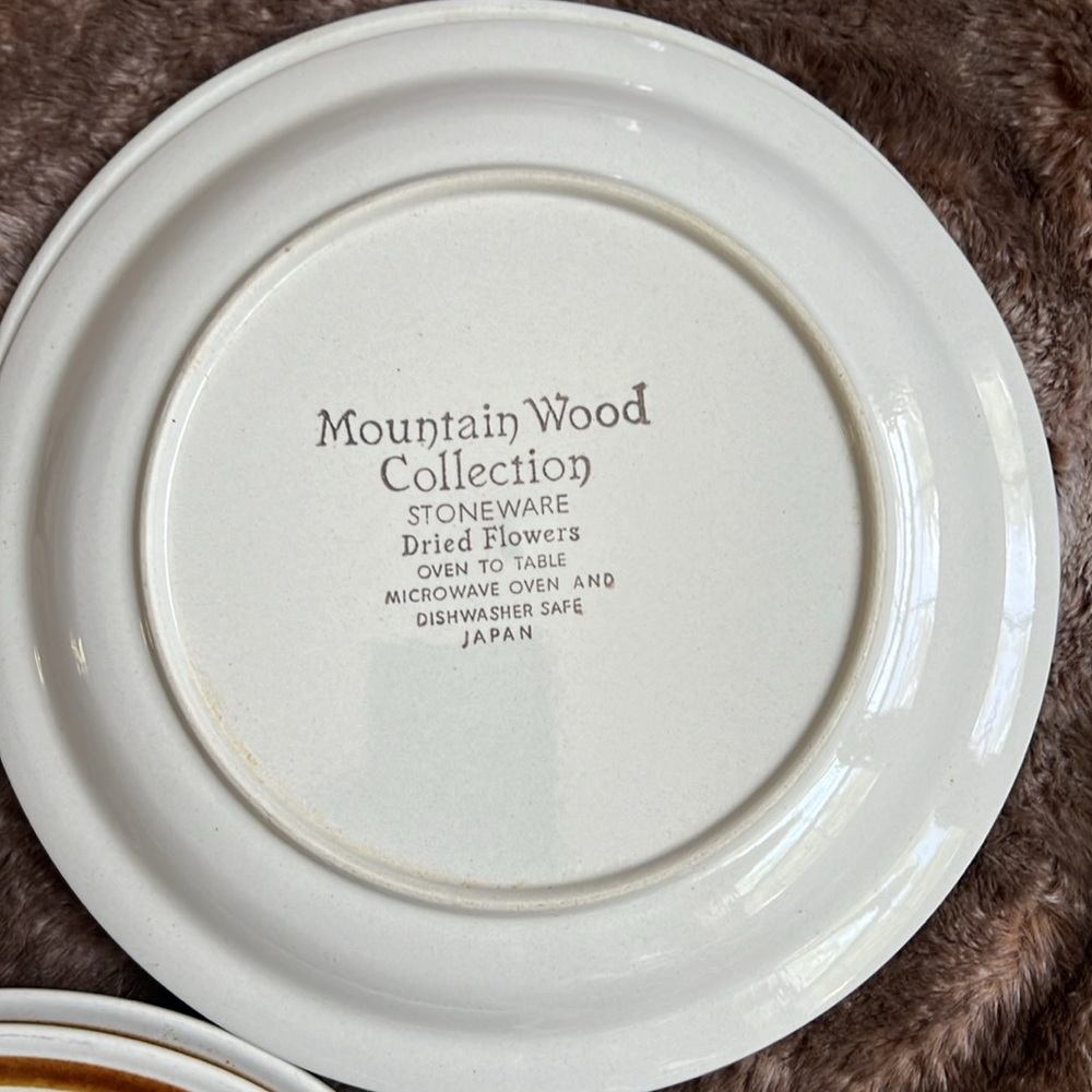 VTG 70s Japan Hand Painted Dried Flowers Mountain Wood STONEWARE Dinner Plate - Picture 3 of 16